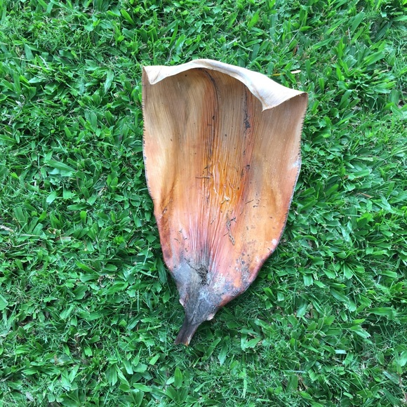 Meet your Posher, Jennifer - Picture 1 of 1